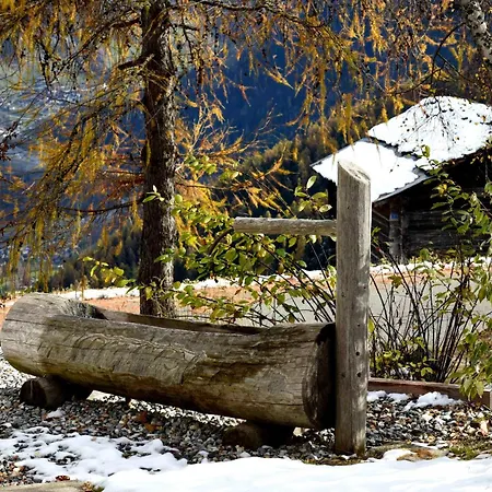 Alpstuga Mayen De Prestige,bruson,verbier Bruson